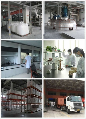 Low Curing Hybrid Polyester Epoxy Resin For 50/50 High Gloss Powder Coating